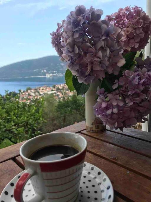 Magnificent Views Apartment Herceg Novi Kültér fotó